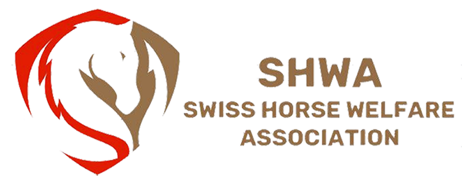 Swiss Horse Welfare Association