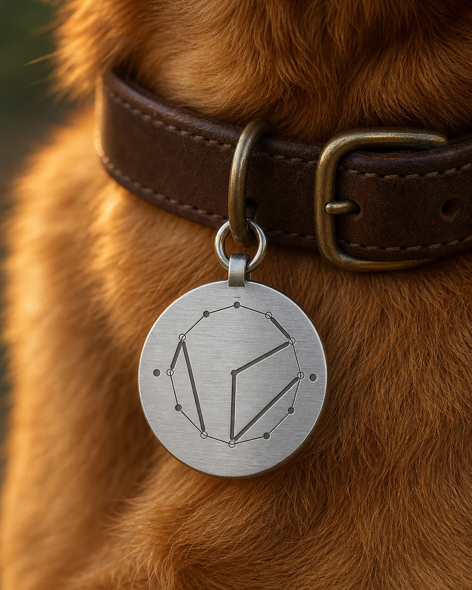 Mockup einer Hundemarke mit CCS-Systemzeichen